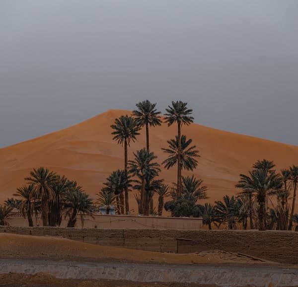 Saudi-First, Global-Ready Design